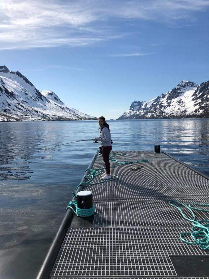 H Sweet H Apartment Tromsø Zewnętrze zdjęcie